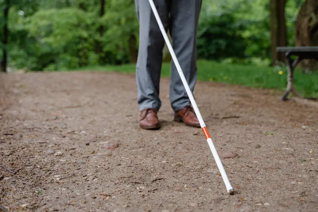 Beine in Anzughose und Lederschuhen mit weißem Langstock (rot markiert) auf einem Parkweg