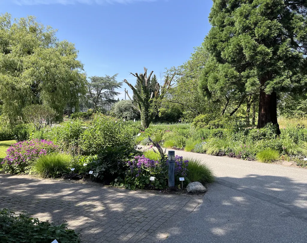 Sonniger Weg durch den Loki-Schmidt-Garten zwischen blühenden Staudenbeeten mit Pflanzenschildern und hohen alten Bäumen.